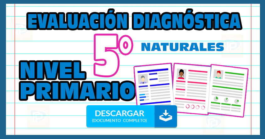 Evaluación Diagnóstica Nivel Primario 2019-2020 1°, 2°, 3°, 4°, 5°, 6° grado primaria